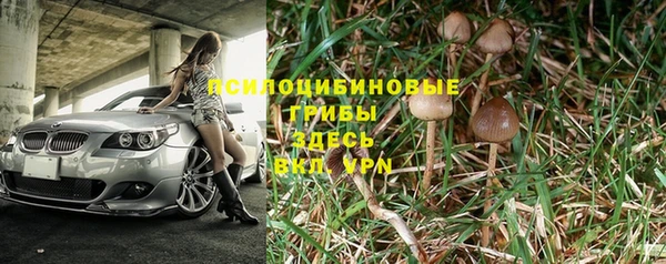 твердый Россошь