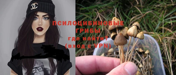 винт Рославль