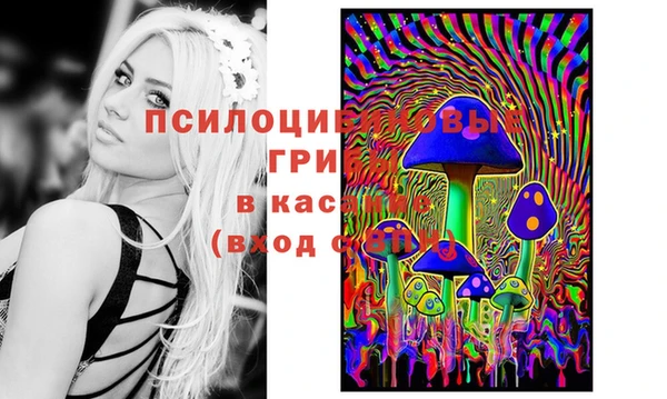 винт Рославль