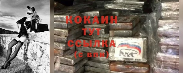 винт Рославль