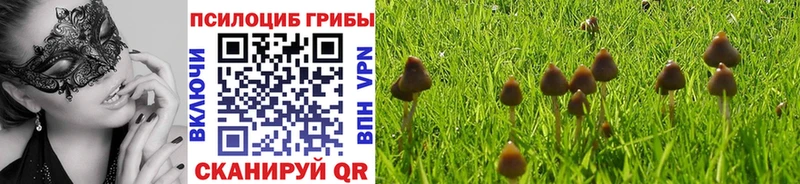 Псилоцибиновые грибы Psilocybe omg Трубчевск